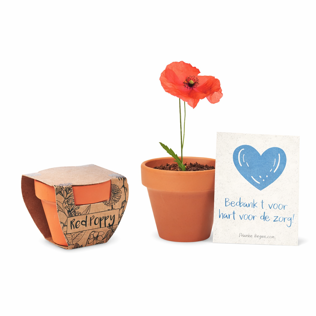 Kweekset terracotta pot met klaprooszaden – Dag van de Zorg